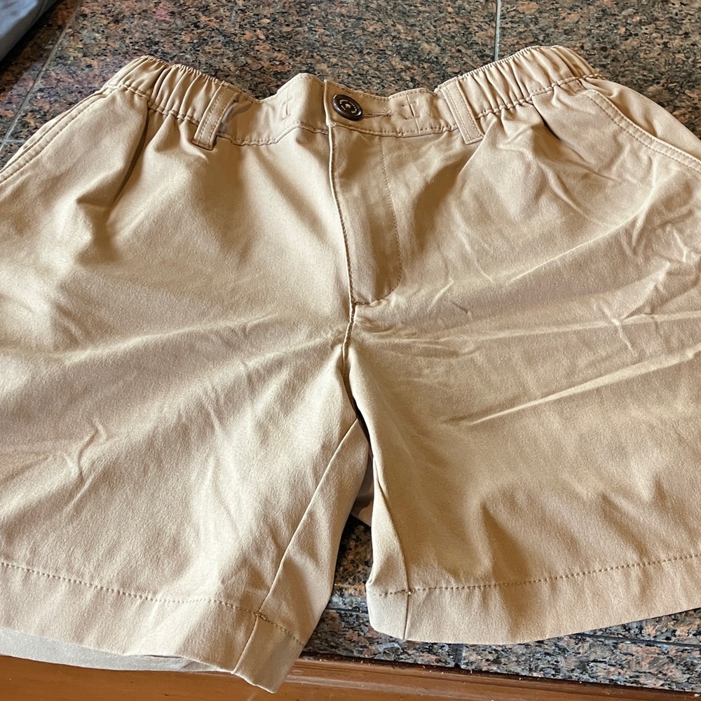 Chubbies Men's Light Tan Flat Front Shorts
